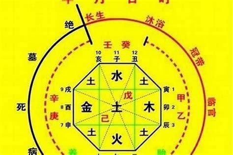 八字火太旺|八字火旺怎么补(八字中火太旺怎么化解)